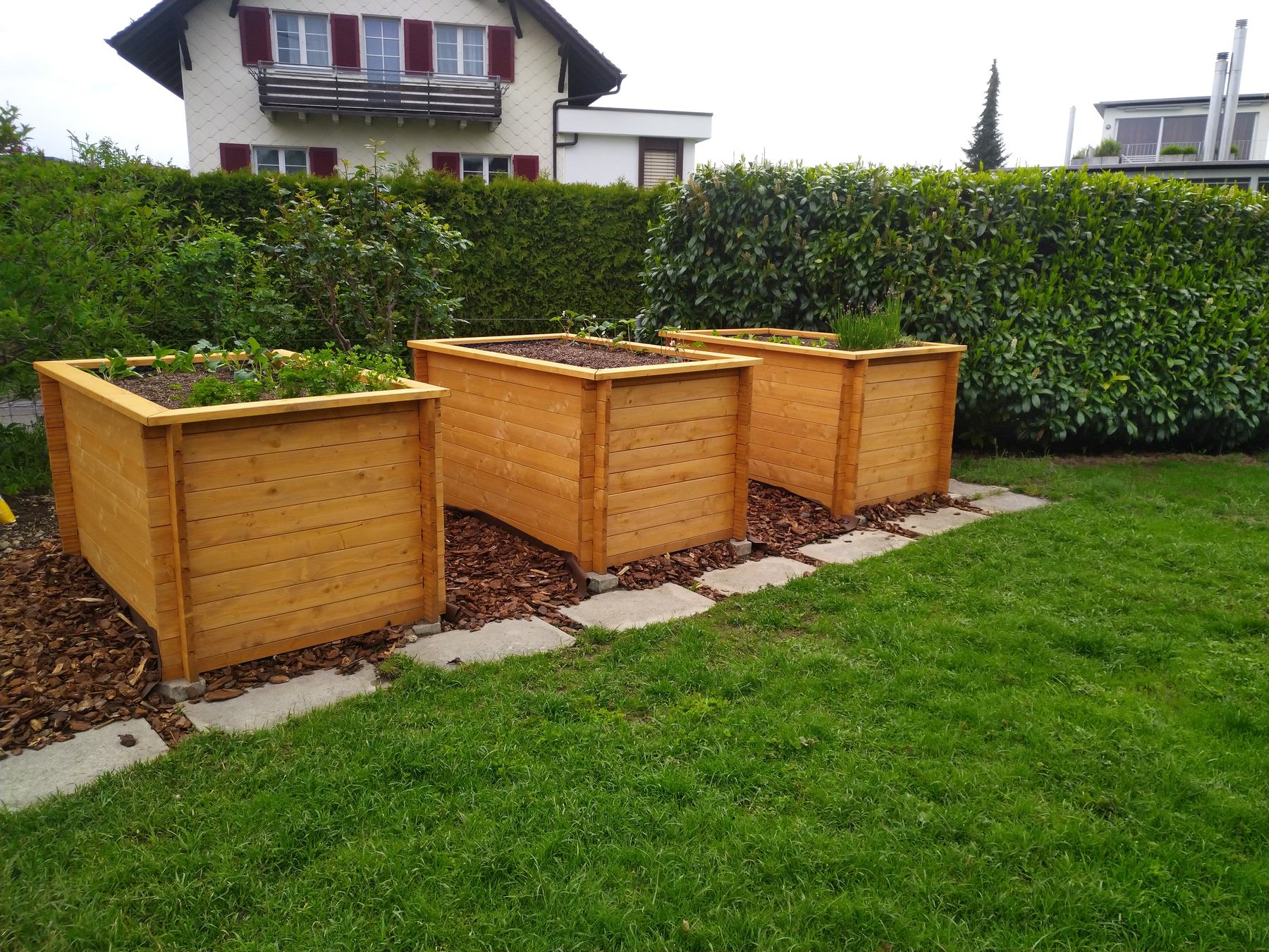 Drei Hochbeete aus Holz auf dem Rasen vor einer Hecke