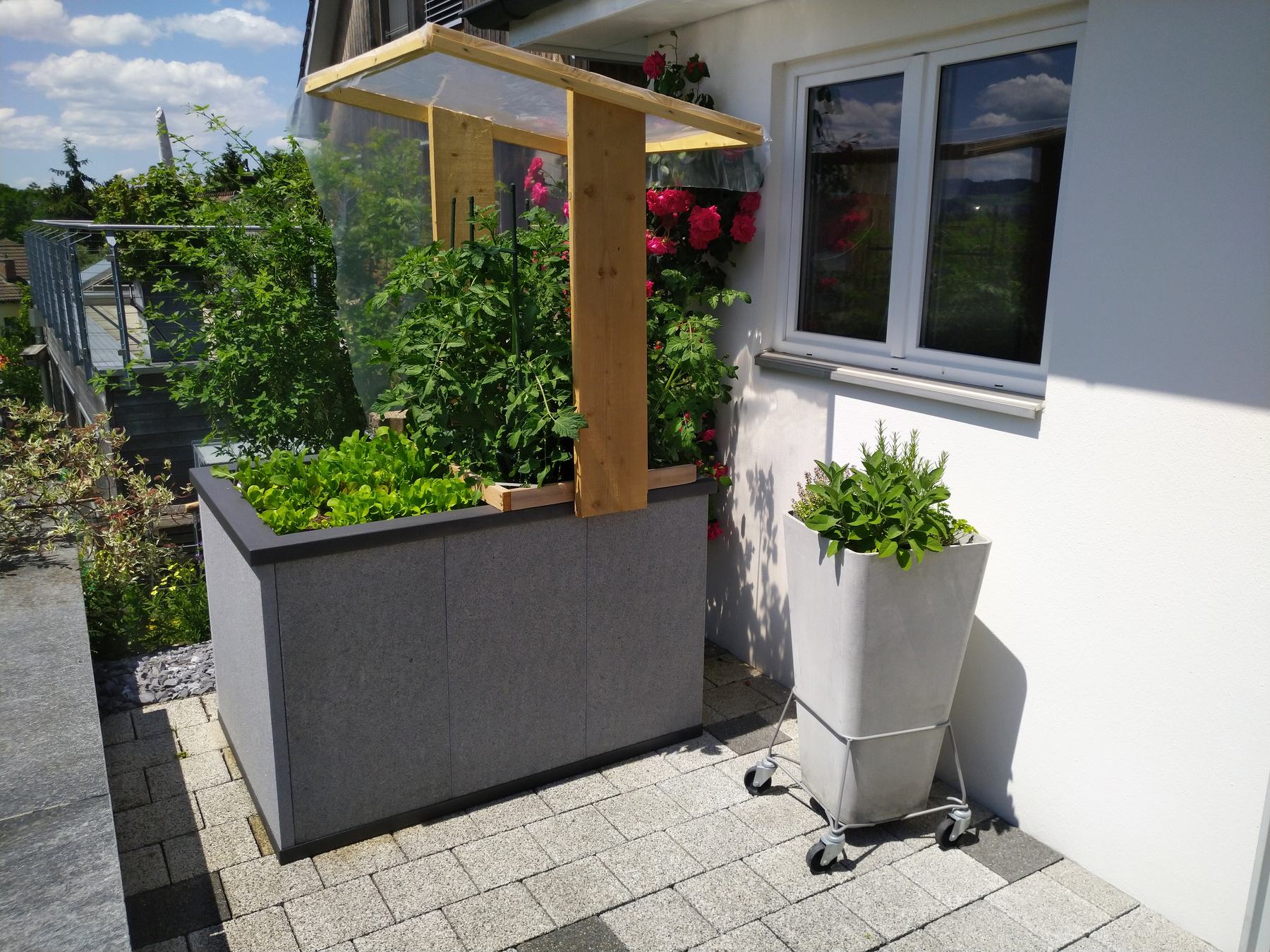 Hochbeet mit Rankgerüst auf einer Terrasse