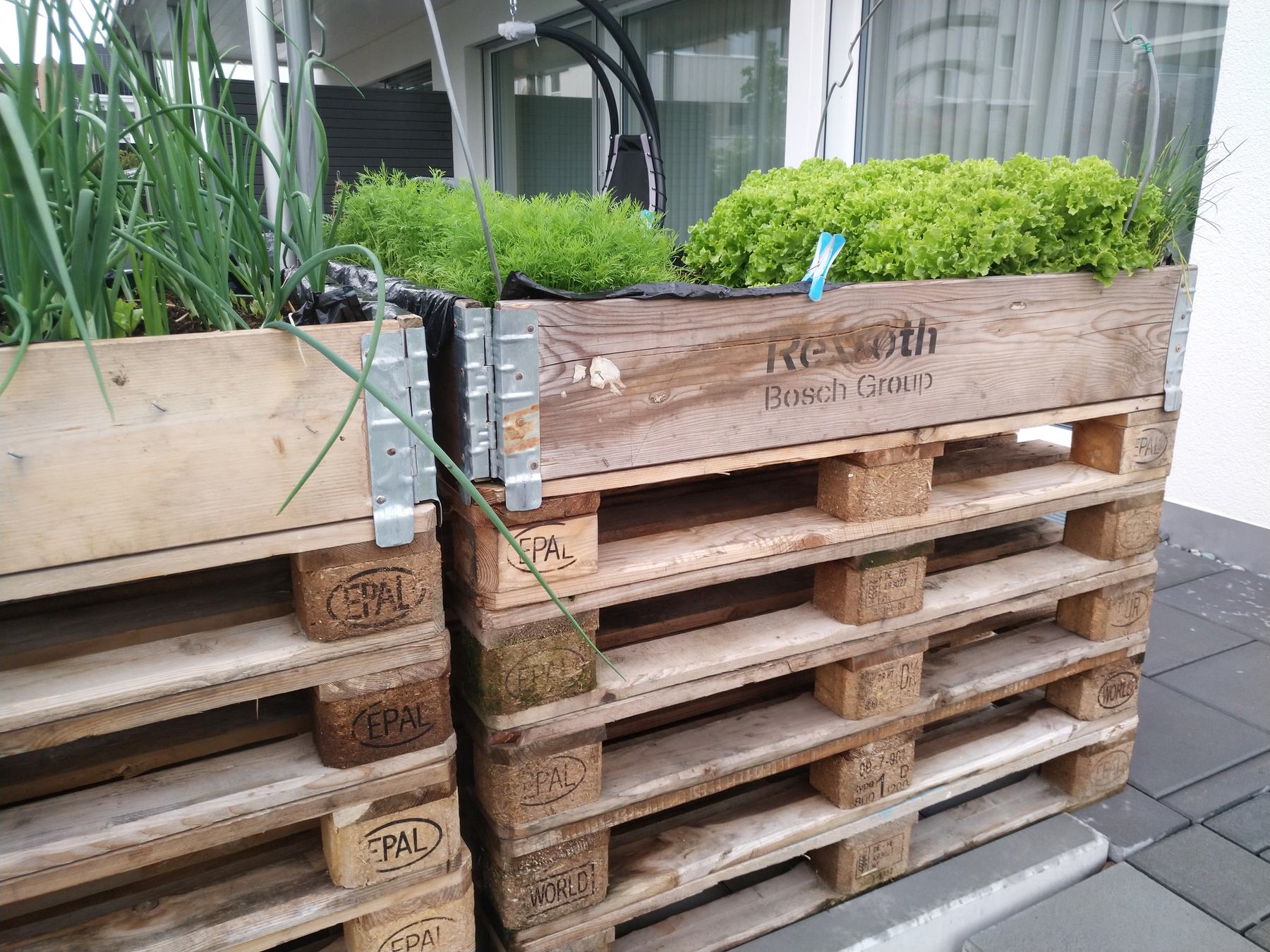 Hochbeet aus Paletten mit Kräutern und Gemüse